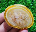158ct Rare Banded Slice Agate Druzy Crystal Polished Geode Slab Gemstone Jewelry