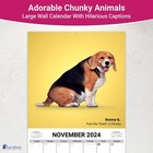 Super Cute And Hilarious 18 Month Chunky Animals Wall Calendar 2023-2024  Big   