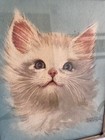 White Persian Cat Litho Art Print   11 X 14 Framed  By Florence Kroger Vintage