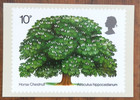 Gb 1974 Postcard Phq Cards Complete Year Set All Mint Unused Cv   300 