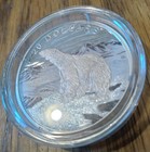 2017 Canada 1 Oz Silver Polar Bear -- Glistening North With  diamond Dust 