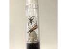 Bugzooka Insect Collection   Control Device