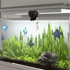 Digital Automatic Fish Feeder Aquarium Auto Food Dispenser Timer Tank Vacation
