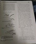 Vintage 1980 Guitar Electronics A Workbook Donald Brosnac First Edition - Rare
