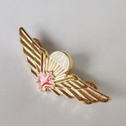 Canadian Paratroopers Badge Insignia Canada Canadian Jump Wings Pin