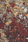 Claude Monet Maison Tapestry Throw     Belgian Woven  58x58   Art House Scene