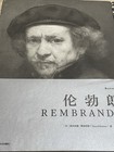 Rare Art Book Collection  Rembrandt  Botticelli  Raphael  Chinese Edition 