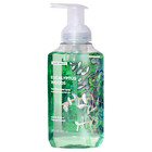  4 Pack  Scent Theory Foaming Hand Soap  Eucalyptus Woods  11 Fl Oz  Best Price
