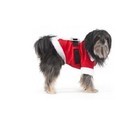 Holiday Santa Clause Costume For Dogs - Xs - S - M - Soft Velour Fabric