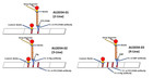 Universal Lateral Flow Assay Single Plex And Multi-plex Versions  strep Gold 