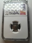 1999-w  10 American Platinum Eagle Mike Castle Pf70 Ucam Ngc  
