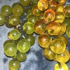 Vtg Mcm Lucite  Acrylic   2 Green Grape    1 Golden Grape Cluster Plastic Stems