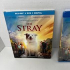 The Stray Blu-ray Dvd   Digital Dvd 2017 Michael Cassidy Sarah Lancaster New