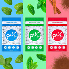 Pur Gum   Aspartame Free Chewing Gum   100  Xylitol   55 Pieces  pack Of 3 