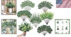 Mixed Eucalyptus Stems - 200 Pcs For Stunning Wedding Bouquets   Home Styling
