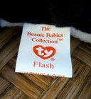 Ty Beanie Baby 4th Gen  Very Rare Oddity Splash With Pvc Flash Perfect Mint Tags