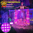 50w Led Black Light Ip66 Waterproof  Outdoor Blacklight Flood