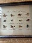 12 Mounted   Framed  Rare Handmade Flies For The Brown Trout No005 Vintage Nice