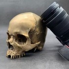 Handicrafts Brass Copper Casting 1 1 Full Life Size Human Skull Adornment Decor