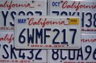 California License Plates - Lipstick Blue On White License Plate Tags