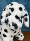 Douglas Chips Dalmatian Pup  291 11    Sitting 1992 Little Cuddlers Dog Read
