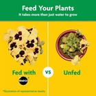 Miracle-gro Multi-purpose Water Soluble Plant Food 5 Lbs 