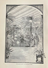 1890 Electricity In Household Use Lighting Fans Edison Phonograph Illustrated