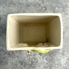 Fitz And Floyd Ceramic Anthropomorphic Onion Refrigerator Baking Soda Box Holder