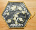 Vintage Nasa Gemini 6   Gta-6 Schirra   Stafford Iron-on Patch  1965 