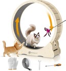 Large Wooden Cat Exercise Wheel 40 Inch Indoor Fitness Treadmill Safe