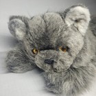 Vtg 1984 Applause Avanti Grey Persian Fluffy Kitten Cat Plush Realistic 24 