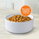 9lives Gentle Care Dry Cat Food 15 5 Lb 3-pack Ships From Usa