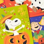 Hallmark Peanuts Halloween Card Assortment  24 Cards With Envelopes 