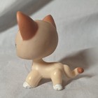 Littlest Pet Shop Lps  852 Cream Leopard Cat Authentic Hasbro  read 