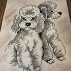 Vintage Paragon Needlecraft Poodles Complete Framed 16  X 13 