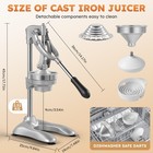 Heavy-duty Cast Iron Orange Juicer Commercial Manual Press Citrus Squeezer