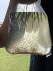 5000  Live Daphnia Culture  free 2days Delivery 