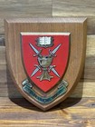 Lisvane School Wooden Plaque Shield Crest Used