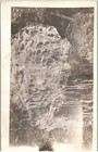 Antique 1900s Rppc Base Of Petrified Wood Tree Calistoga Forest Postcard