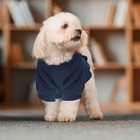 Pet Dog Hoodie Coat Winter Warm Dog Sweatshirt Small Puppy Apparel Clothes