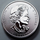 2023 2 Oz 9999 Silver Round  10 Dollar Canada Twin Maples Coin Rare  No Reserve 