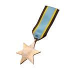 Ww2 British canada Commonwealth Aircrew Europe Star
