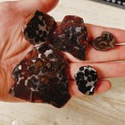 82g Sericho Pallasite Meteorite From Kenya
