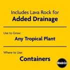 Miracle-gro 6 Qt  Tropical Potting Soil Mix