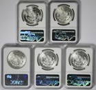 Lot 5 Different Date Morgan Dollar  1 Ms 63 Ngc 5 Coins