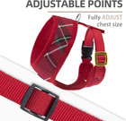 Soft Mesh Dog Harness And Leash Set Pet Puppy Cat Comfort Padded Vest No Pull   