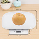 22lbs Digital Pet Scale Small Dog   Cat Vet Weight Scale Veterinary Diet Healthy