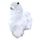 Alpaca  6 Cute Cuddly 20  Baby Alpaca Doll Fur Collectable     Natural Color 