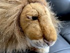 Hansa Realistic Lion Stuffed Animal Plush  Laying Down 26    Pristine Condition