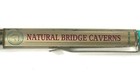 1996 Natural Bridge Caverns Floaty Pen Moving Dinosaur Cave Baby Egg Texas Vtg